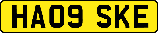 HA09SKE
