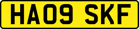 HA09SKF