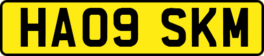 HA09SKM