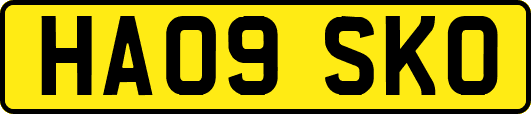 HA09SKO