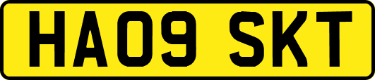 HA09SKT