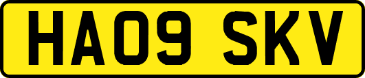 HA09SKV