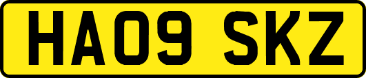 HA09SKZ