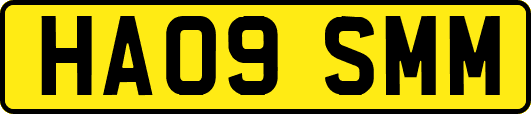 HA09SMM