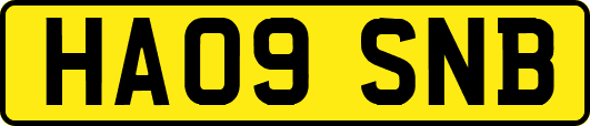 HA09SNB