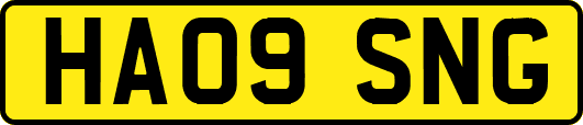 HA09SNG