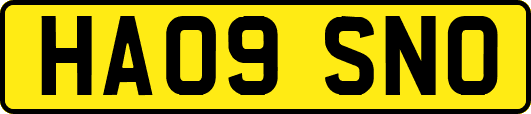 HA09SNO