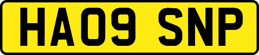 HA09SNP