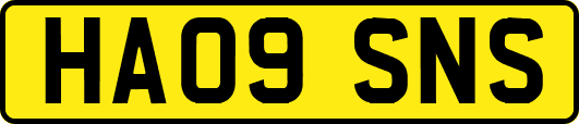 HA09SNS