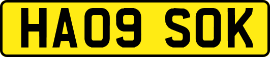 HA09SOK