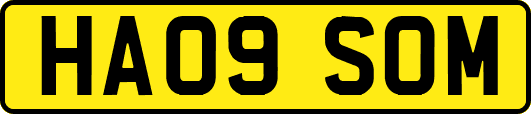 HA09SOM