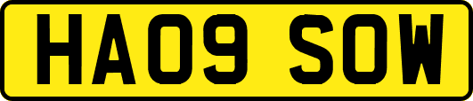 HA09SOW