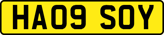 HA09SOY