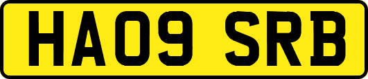 HA09SRB
