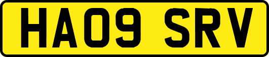 HA09SRV
