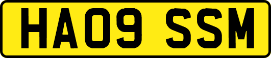 HA09SSM