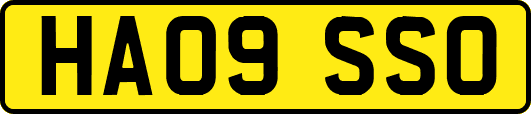 HA09SSO