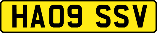 HA09SSV