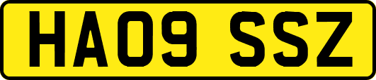 HA09SSZ