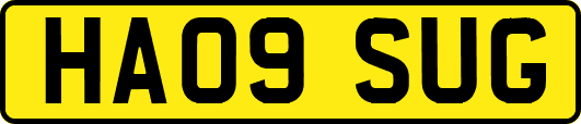 HA09SUG