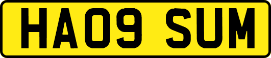 HA09SUM