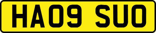 HA09SUO