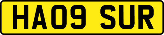 HA09SUR