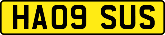 HA09SUS