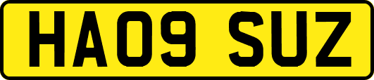 HA09SUZ