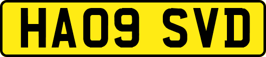 HA09SVD