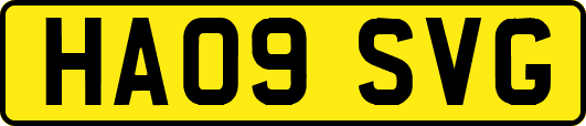 HA09SVG