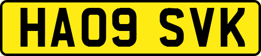 HA09SVK