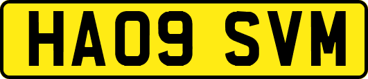 HA09SVM