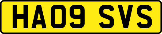 HA09SVS