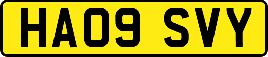 HA09SVY