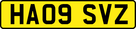 HA09SVZ