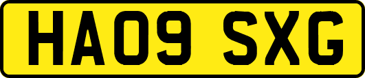 HA09SXG