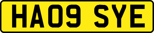 HA09SYE