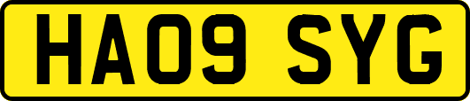 HA09SYG