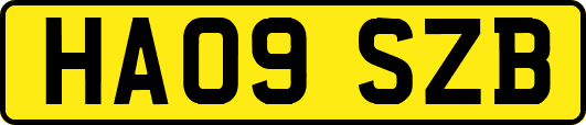HA09SZB