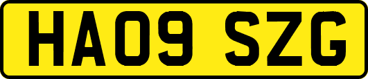 HA09SZG