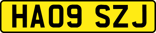 HA09SZJ