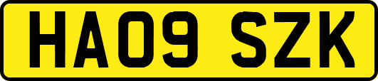 HA09SZK