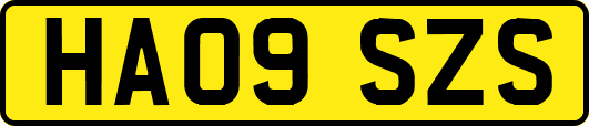 HA09SZS