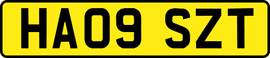 HA09SZT