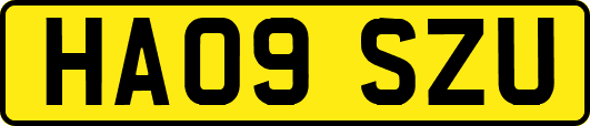HA09SZU