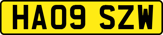 HA09SZW