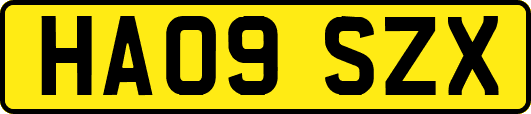 HA09SZX