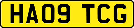 HA09TCG