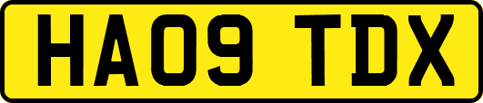 HA09TDX